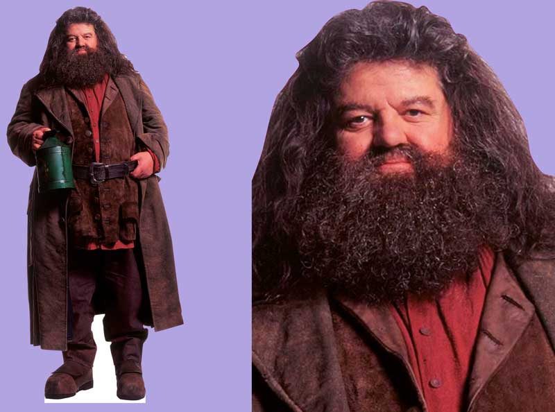 Шаблон ростовая фигура Хагрид - print100.ru