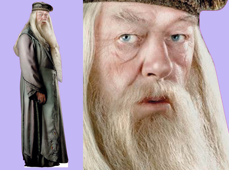 Шаблон ростовая фигура Альбус Дамблдор - print100.ru