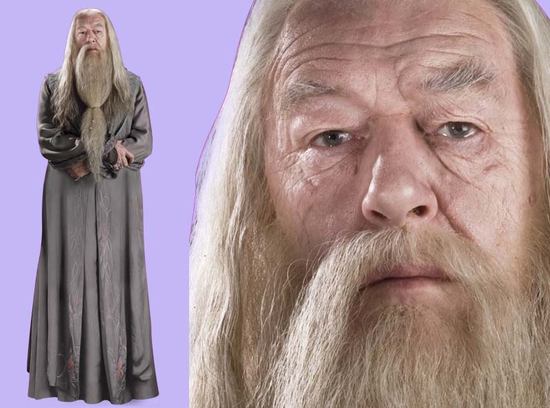 Шаблон ростовая фигура Альбус Дамблдор 2 - print100.ru